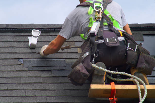 Best Storm Damage Roof Repair  in De Soto, IL