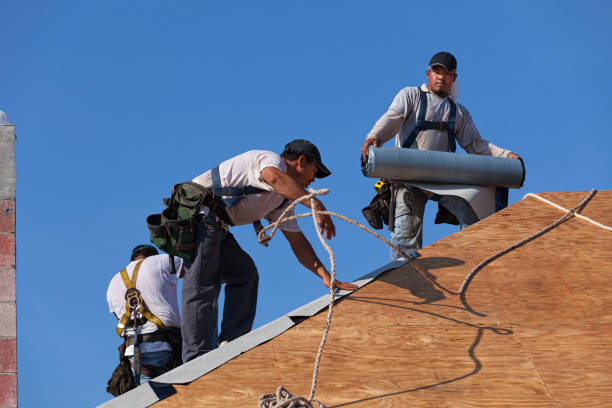 Roof Gutter Cleaning in De Soto, IL